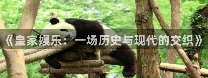 琳琅娱乐注册：《皇家娱乐：一场历史与现代的交织》