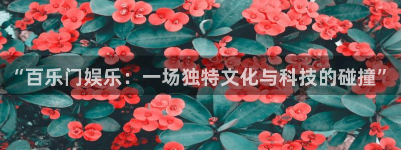 琳琅娱乐：“百乐门娱乐：一场独特文化与科技的碰撞”