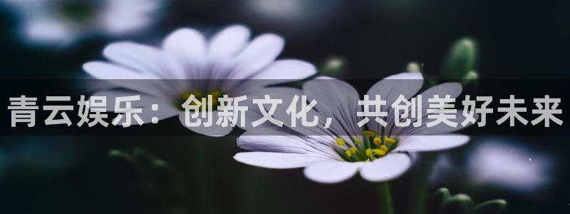 琳琅娱乐注册：青云娱乐：创新文化，共创美好未来