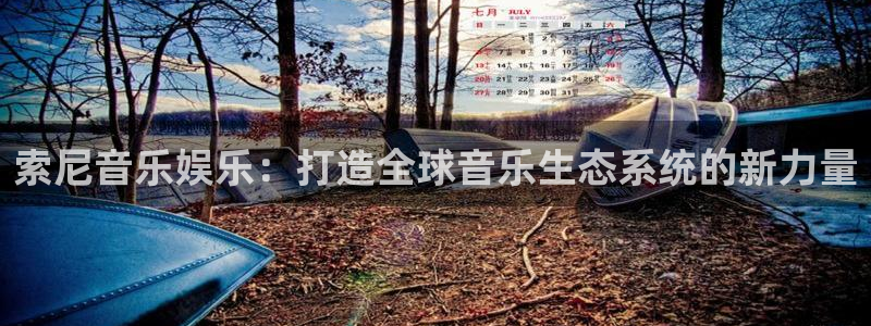 琳琅娱乐：索尼音乐娱乐：打造全球音乐生态系统的新力量