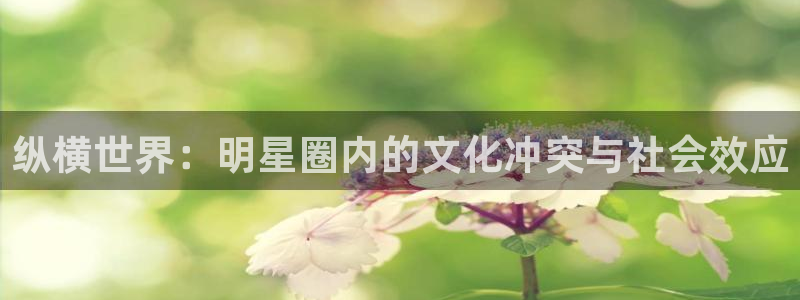 琳琅娱乐注册：纵横世界：明星圈内的文化冲突与社会效应