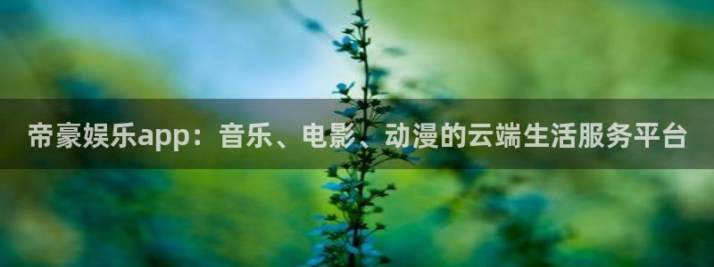 琳琅娱乐：帝豪娱乐app：音乐、电影、动漫的云端生活服务平台