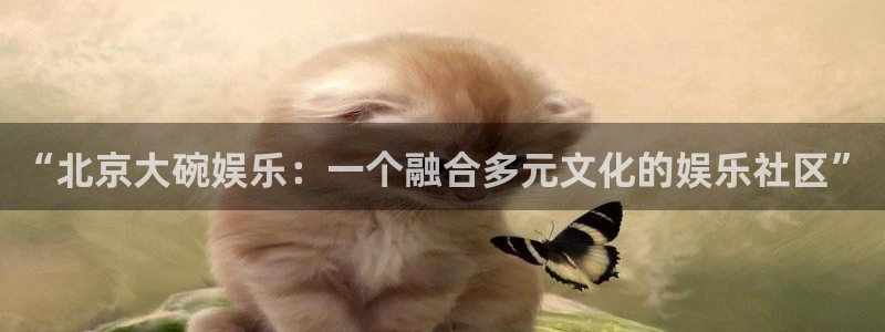 琳琅娱乐：“北京大碗娱乐：一个融合多元文化的娱乐社区”
