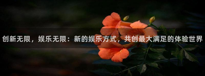 琳琅娱乐注册：创新无限，娱乐无限：新的娱乐方式，共创最大满足的体验世界